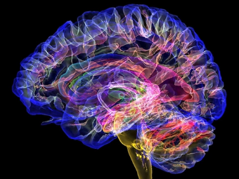 欧美性插b视频大脑植入物有助于严重头部损伤恢复
